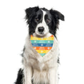 Load image into Gallery viewer, Summer Bandana | Nautical Bandana | Beach Bandana | Pool, Lake Dog Bandana - Southlake Paws
