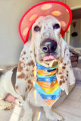 Load image into Gallery viewer, Summer Bandana | Nautical Bandana | Beach Bandana | Pool, Lake Dog Bandana