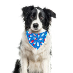 Patriotic, 4th of July Bandana | Memorial Day Bandana | USA | Patriotic bandana | Popsicles