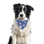 4th of July Bandana | Memorial Day Bandana | USA | Patriotic bandana | Stars
