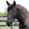 Load image into Gallery viewer, Henri de Rivel Pro Piaffe Mono Crown Bridle with Flash Noseband with Patent Leather - image 5
