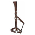 Load image into Gallery viewer, Henri de Rivel Padded Crystal Halter - image 3