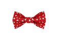 Load image into Gallery viewer, Patriotic Bow Tie | 4th of July | Memorial Day | American Flag | USA - Southlake Paws