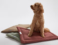 Load image into Gallery viewer, Warby Beige Cozy Mat