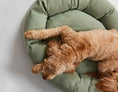 Load image into Gallery viewer, Warby Jasmine Donut Bed
