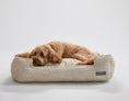 Load image into Gallery viewer, Lolly White Lounge Bed