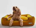 Load image into Gallery viewer, Bumble Chartreuse Lounge Bed