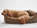 Load image into Gallery viewer, Warby Beige Napper Bed