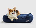 Load image into Gallery viewer, Warby Navy Lounge Bed