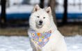 Load image into Gallery viewer, Christmas Bandana | XMAS Bandana | Holiday Bandana | Lights | Gingerbread Cookies | Dog Bandana - Southlake Paws
