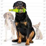 Silly Squeakers®  Beer Bottle - Mountain Drool