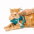 Load image into Gallery viewer, Joey Cat Harness & Leash Set