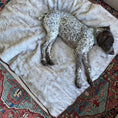 Load image into Gallery viewer, PupProtector™ Short Fur Waterproof Throw Blanket - White with Brown Accents
