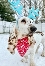 Valentine Bandana | Valentines Day Bandana | Dog Bandana | Red Sparkle