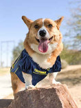Load image into Gallery viewer, California Golden Bears College Dog Jersey - Official College Sports Pet Fan Apparel