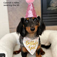 Load image into Gallery viewer, Party Bandana | Birthday Bandana | Barkday Bandana | Birthday Dog Bandana | Happy Birthday Bandana | Birthday Girl Bandana - Southlake Paws