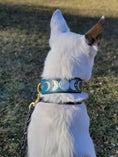 Load image into Gallery viewer, Moon Phases / Lunar Cycle / Celestial Dog Collar
