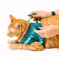 Load image into Gallery viewer, Joey Cat Harness & Leash Set