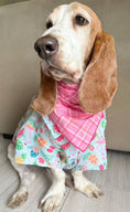 Load image into Gallery viewer, Spring Bandana, Spring Plaid Dog Bandana, Red, Pink, Easter