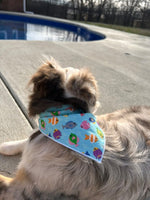 Summer Bandana | Nautical Bandana | Fish Bandana | Beach | Lake