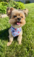 Load image into Gallery viewer, Patriotic | Memorial Day Bandana | USA | Patriotic bandana | Fourth of July | 4th