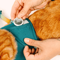 Load image into Gallery viewer, Joey Cat Harness & Leash Set
