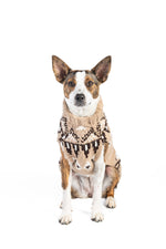 Sandy Cable Knit Wool Dog Sweater