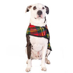 Scotty Plaid Wool Dog Blanket Coat