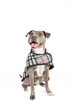 Steel Tartan Wool Dog Blanket Coat