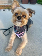 Halloween Bandana | Halloween Dog Bandana | Flowers, Pumpkins, Web