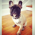 Load image into Gallery viewer, The "Rock" collar