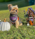 Load image into Gallery viewer, Halloween Bandana | Halloween Dog Bandana | Black Spider Web | TOO CUTE TO SPOOK - Southlake Paws