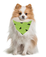 Halloween Bandana | Halloween Dog Bandana | Green with Bats