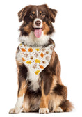 Load image into Gallery viewer, Fall Bandana | Halloween Dog Bandana | Thanksgiving | Leaves, Acorns, Paws - Southlake Paws
