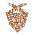 Fall Football Pet Bandana
