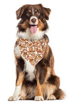 Fall Football Pet Bandana