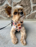 Halloween Bandana | Fall Dog Bandana | Ghost, Pumpkins BOHO Style