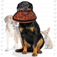Load image into Gallery viewer, tuffy® MEGA™ Oddball