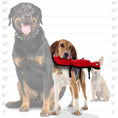 Load image into Gallery viewer, tuffy® Desert Series - Rant the Ant