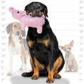 Load image into Gallery viewer, mighty® Farm Series - Piglet