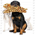 Load image into Gallery viewer, mighty® Safari Series - Leopard