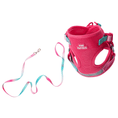 Load image into Gallery viewer, Stasia Cat Harness & Leash Set
