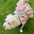 Load image into Gallery viewer, LovePackPuppy Dress