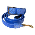 Load image into Gallery viewer, Malibu Classic Collar & Leash Set