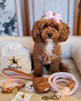 Load image into Gallery viewer, WASTE BAG HOLDER - BELLA ROSE
