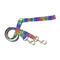 Load image into Gallery viewer, ROY G BIV Freedom No-Pull Dog Harness – EarthStyle