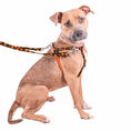 Load image into Gallery viewer, Jack O Lantern Freedom No-Pull Dog Harness – EarthStyle
