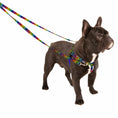 Load image into Gallery viewer, ROY G BIV Freedom No-Pull Dog Harness – EarthStyle