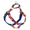 Load image into Gallery viewer, Classic Tie-Dye Freedom No-Pull Dog Harness – EarthStyle