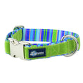 Load image into Gallery viewer, Green Stripes Velvet Essential Dog Collar (1″ Only)